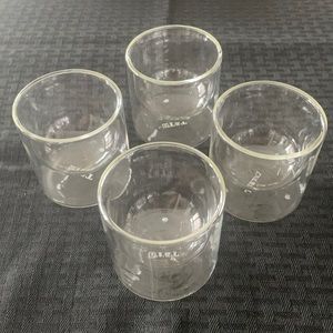 Double Wall Glass (set of 4)